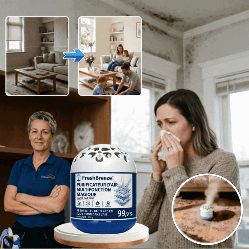 FreshBreeze™ Magic Air Box | Entfernen Sie Staub, Bakterien und Schadstoffe aus der Luft – in nur 1 Minute!