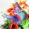 3D Schmetterlinge kristall | Frühlingsdekoration - Science Factory