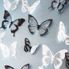 3D Schmetterlinge kristall | Frühlingsdekoration - Science Factory