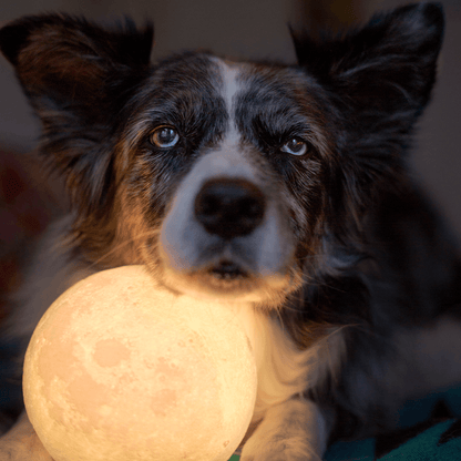 Mond (farbiges) Nachtlicht | Beleuchtung - Science Factory