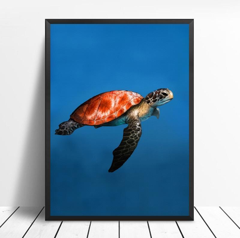 Meeresschildkröte | Canvas Art - Science Factory