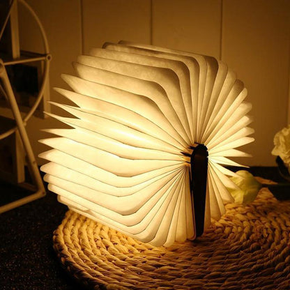 Buchlampe | Beleuchtung - Science Factory