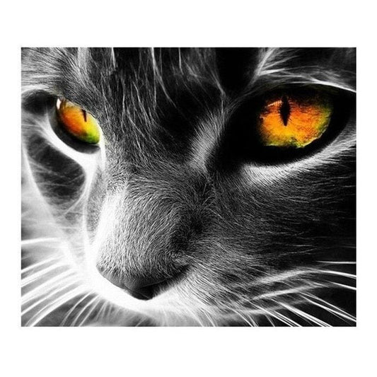 Katzen-Animation - Number Painting (NEU) - Science Factory