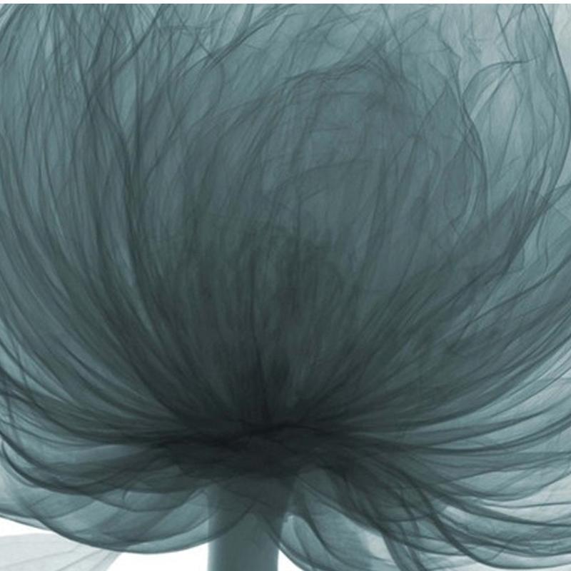 Blume | Canvas Art - Science Factory