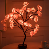 Endless Rose Lamp - Science Factory