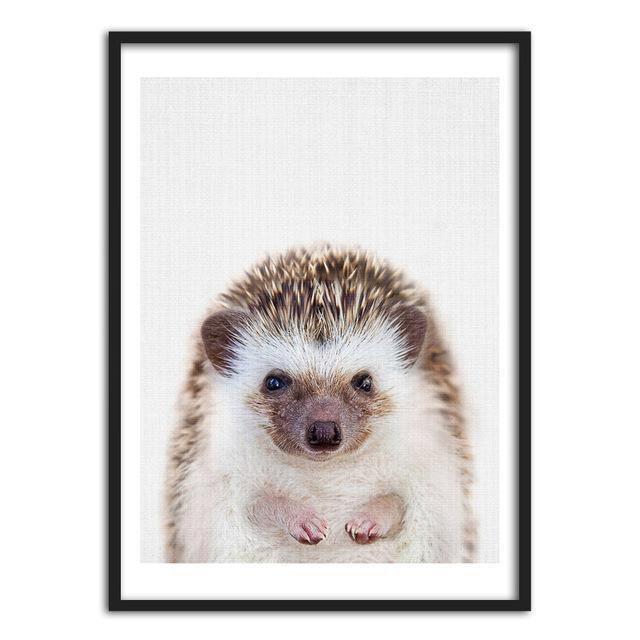 Igel und Koala | Canvas Art - Science Factory